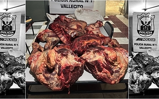 Viajaba con 80 kilos de carne sin refrigeración y lo descubrieron en un control