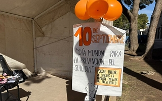 Conducta suicida: cuáles son las consultas más frecuentes en el Marcial Quiroga