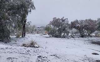 San Juan amaneció el sábado con paisajes pintados de blanco por la nieve