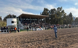 Conmoción de amigos y familiares por la muerte de Fernando Martín