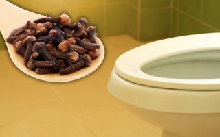 El truco con clavo de olor en el inodoro que se volvió viral