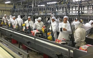 Granja Tres Arroyos, la mayor avícola, pidió concurso de acreedores