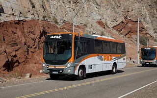 PAP y DREAM se unen para competir por el transporte de Vicuña