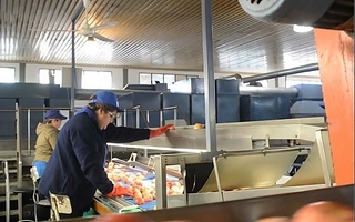El Gobierno flexibiliza controles antilavado para el Fondo de Asistencia Laboral