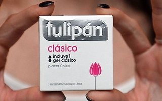 &nbsp;Tulipán advierte sobre una "crisis del deseo" en la juventud