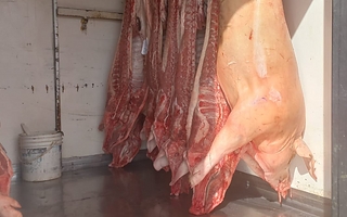 Detenido por transportar carne no apta para consumo: iba sin frío y en el piso
