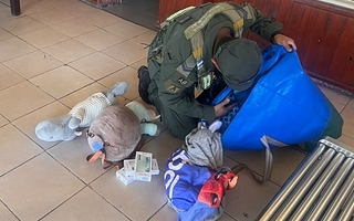 Hallaron 12 celulares de contrabando dentro de peluches en Formosa