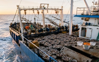 Las exportaciones pesqueras crecieron en Argentina