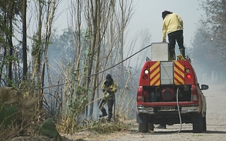 Un incendio en un cañaveral puso en alerta a vecinos de Rawson
