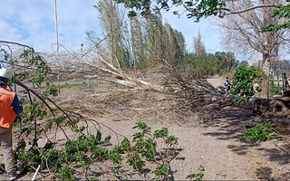 Chimbas sufrió daños por las fuertes ráfagas de viento: dónde hubo problemas