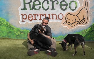 El famoso que se alejó de la farándula para abrir un refugio para perros
