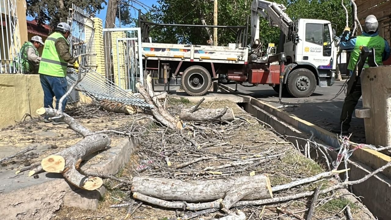 Organismos municipales y provinciales trabajaron para despejar el área. (Foto Sergio Leiva / DIARIO HUARPE)
