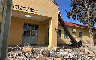 El fuerte viento Zonda derribó un árbol sobre el techo de una escuela