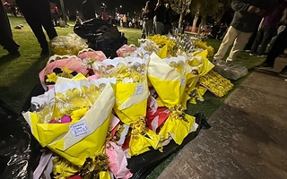 El boom de las flores amarillas también llegó al Festi Joven