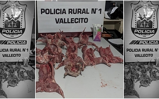 os interceptaron en Difunta Correa con liebres, vizcachas y un ave