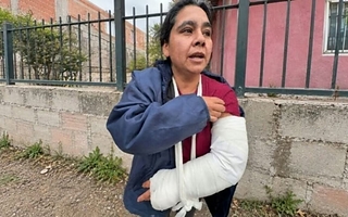 Dejó a sus hijos en la escuela y dos dogos la atacaron