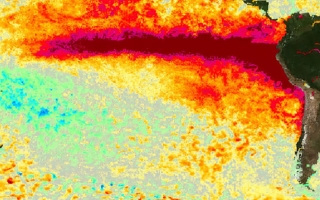 Alerta por El Niño: proyectan 451.000 muertes vinculadas al calor