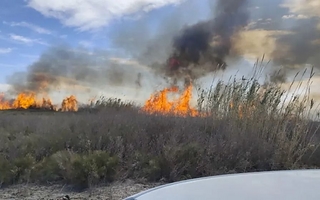 Bomberos combaten varios focos de incendios