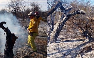 Un incendio avanzó sobre una finca y quemó ocho hectáreas en Valle Fértil