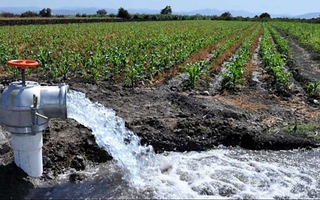 Chacareros ven una nueva amenaza por la llegada de más agua a San Juan