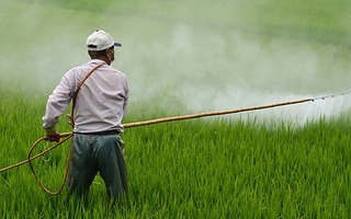 Corte Suprema de Justicia ratificó un&nbsp;fallo clave contra las fumigaciones