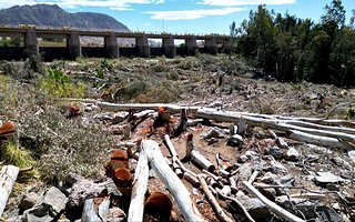 Para prevenir desbordes, Hidráulica inició la tala de árboles en el cauce del río San Juan