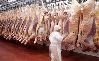 Japón habilitó la carne argentina, pero enfrentará grandes aranceles