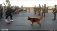 Militares y manifestantes jugaron a la pelota con un perro
