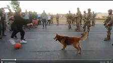 Militares y manifestantes jugaron a la pelota con un perro