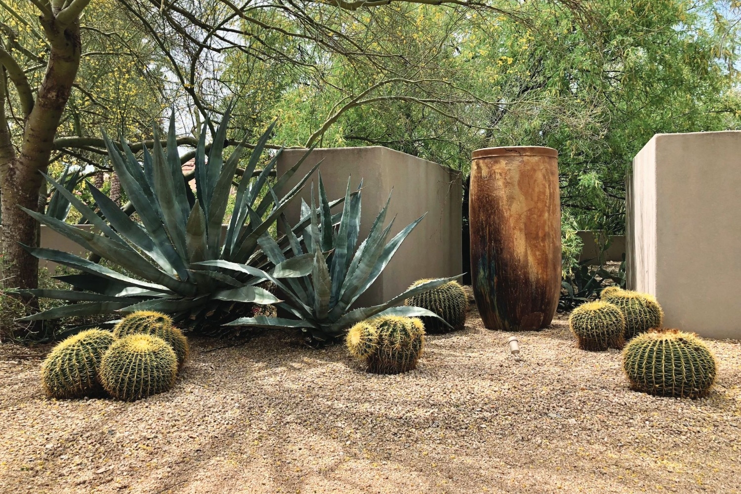 Jardines secos, la alternativa ante la escasez hídrica