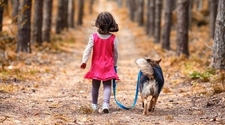 Para revincularse con su madre, una jueza de San Juan sugirió que una niña tenga un perro