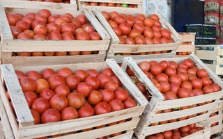 Creció un 41% la exportación de productos tradicionales