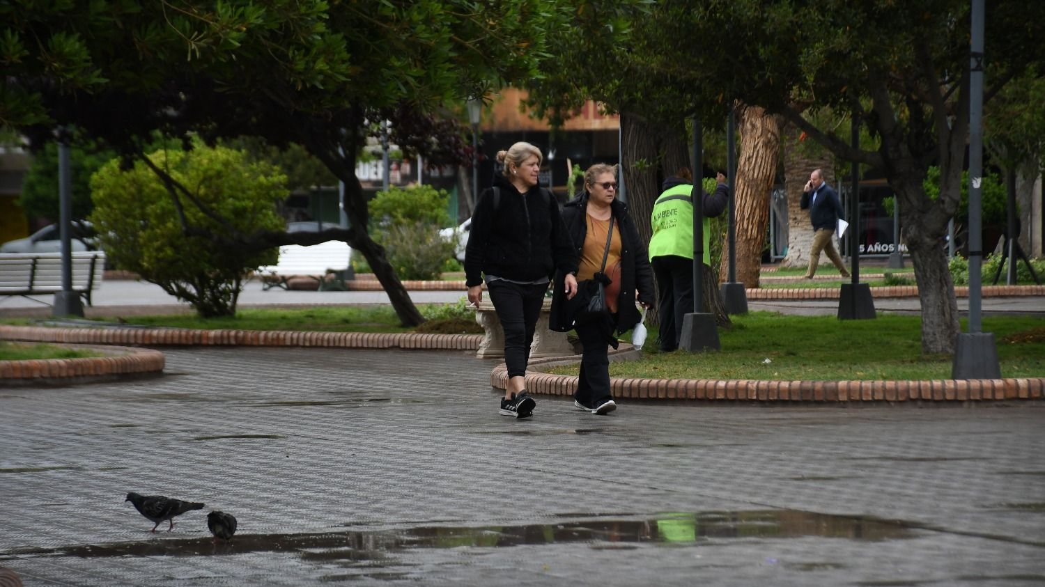Tormentas y cielo mayormente nublado: el pronóstico para este viernes en la provincia