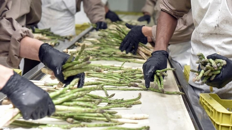 Chacareros de San Juan buscan que la minería compre su producción local