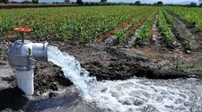 Contaminación del Acuífero del Valle de Tulum: el nivel de agua subterránea sigue bajando