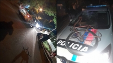 Un patrullero atropelló a un ciclista tras una persecución policial