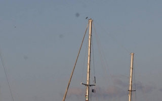 Israel intercepta flotilla humanitaria hacia Gaza