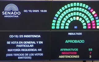 Senado rechazó los vetos y reinstaló las ley de emergencia pediátrica y universidades