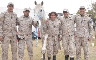 Caballos rescatados del maltrato ahora trabajan en la Policía Rural