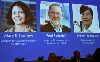 Nobel de Medicina reconoció el hallazgo de mecanismo que previene enfermedades autoinmunes