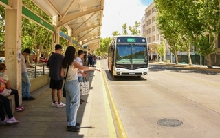 Enterate qué colectivos tomar para llegar a la nueva sede de Discapacidad