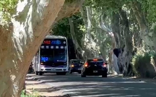 Rivadavia busca soluciones urgentes para el tránsito peligroso en calle Pellegrini