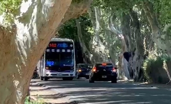 Rivadavia busca soluciones urgentes para el tránsito peligroso en calle Pellegrini