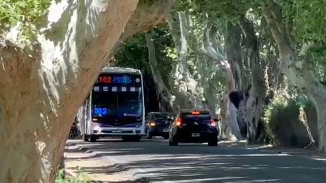 Rivadavia avanza en un plan con Vialidad y Ambiente por la seguridad vial en calle Pellegrini