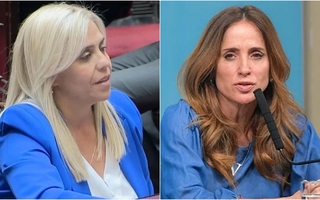 Picón señaló contradicción en UxP: 17 procesados piden inhabilitar a Espert