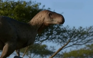 Nuevo dinosaurio carnívoro descubierto en La Rioja