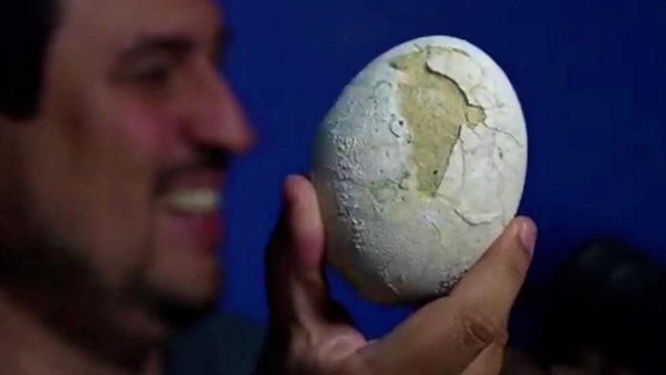 Patagonia: hallaron un huevo de dinosaurio carnívoro durante la expedición
