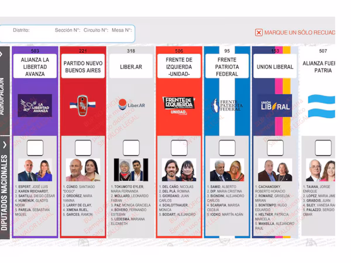 El Gobierno apeló el fallo y la Cámara Nacional Electoral decidirá sobre la reimpresión de boletas