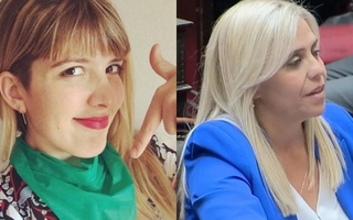     Picón: "Es incoherente que una persona que milita el aborto defienda los derechos de los niños"