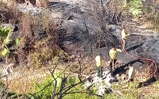 Dolor y bronca en Valle Fértil: el pueblo lamenta nuevos hechos de vandalismo
